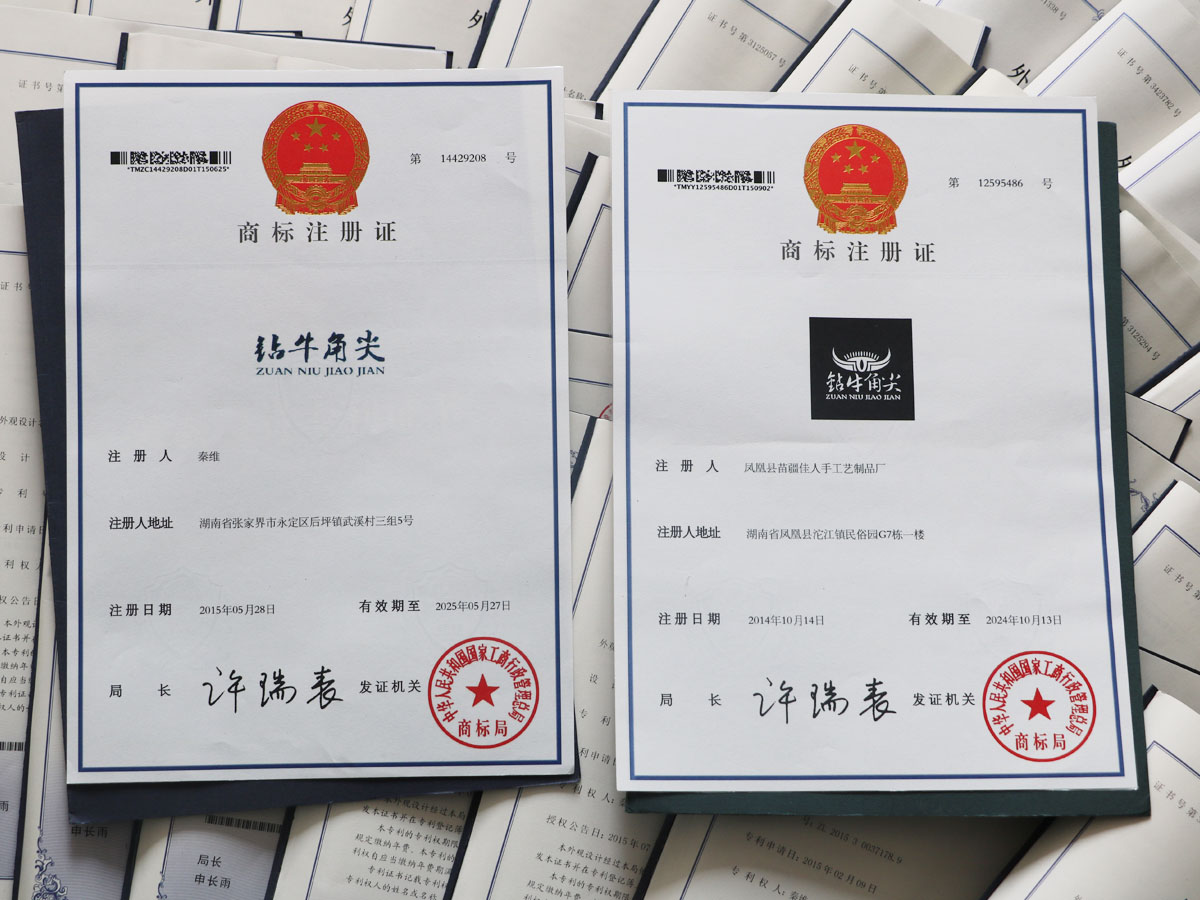 国家专利证书4