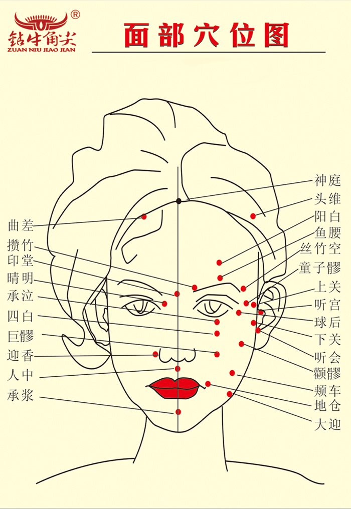 穴位