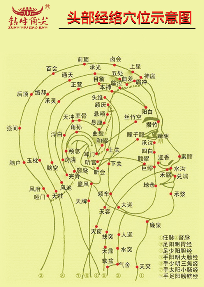 穴位