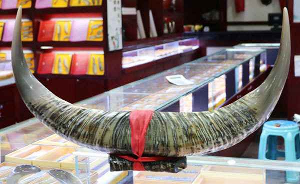 钻牛角尖工艺品发展有限公司,张家界牛角梳,钻牛角尖,张家界牛角制品,翠翠阁